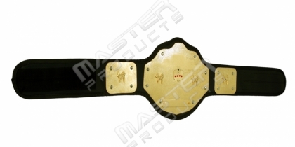 Championship Belt